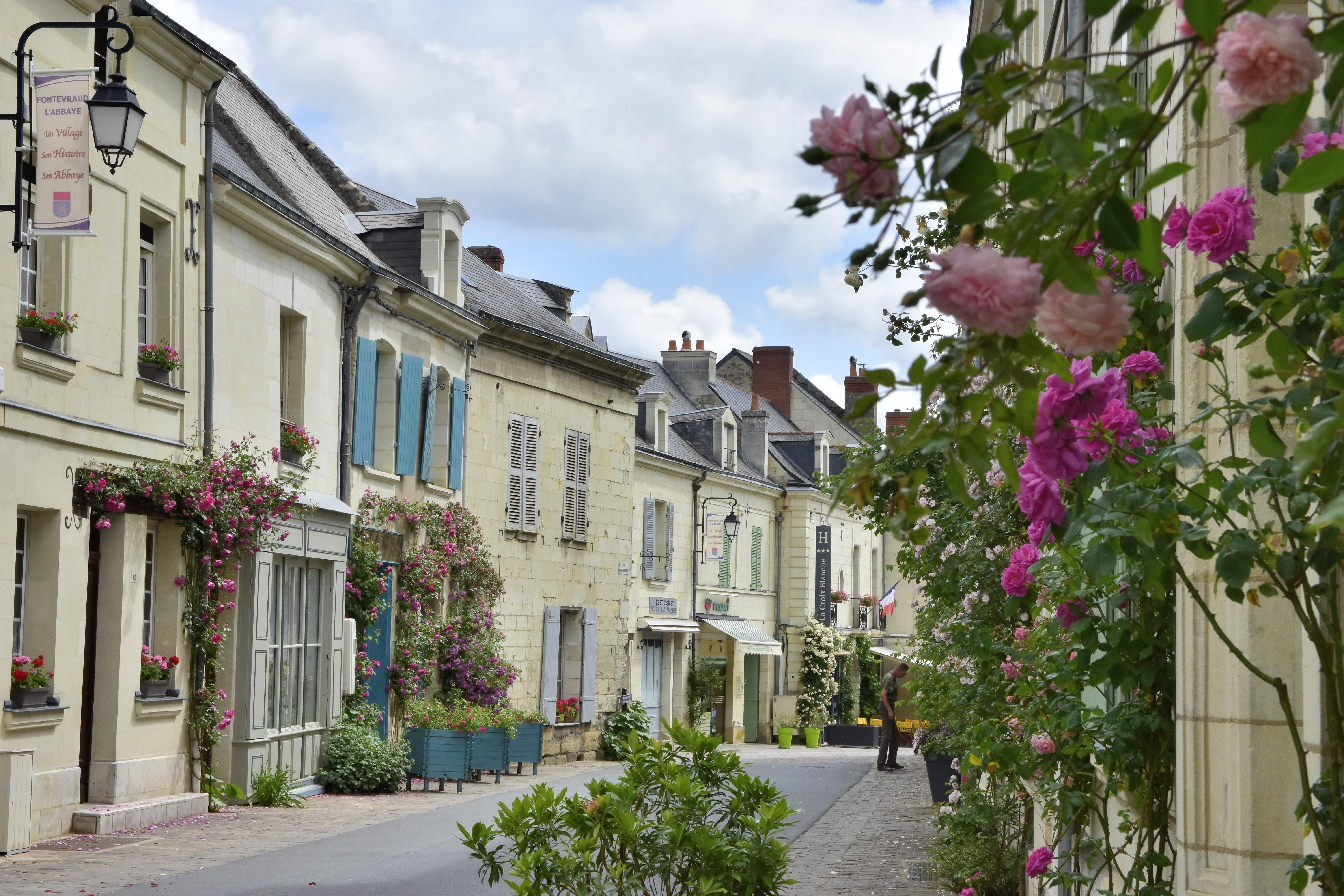 Logis Hotel La Croix Blanche Fontevraud Exterior photo